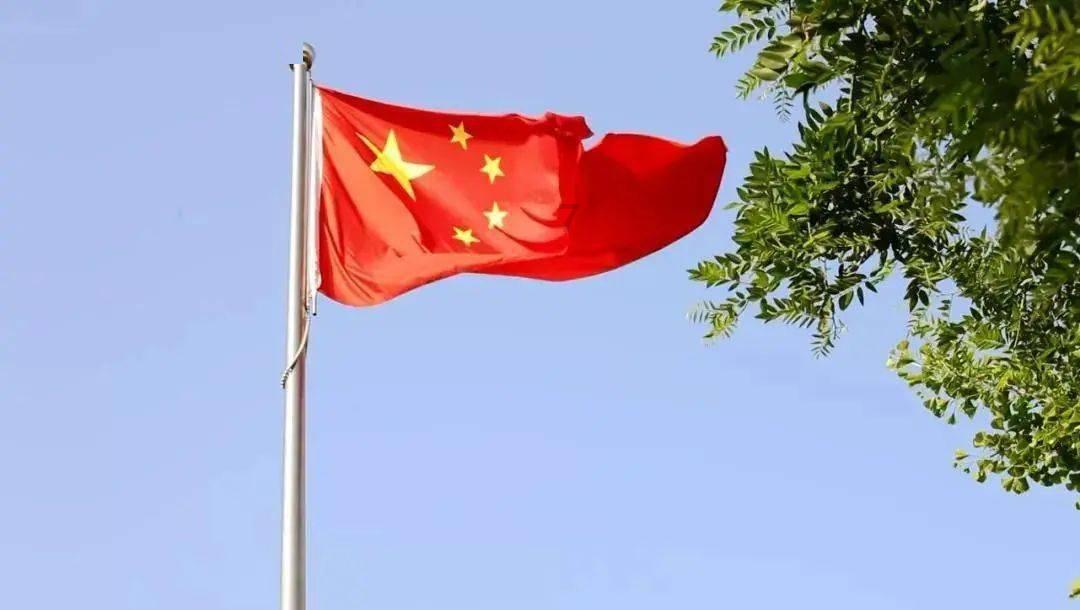 一群伪虎鲸搁浅新西兰海岸后死亡